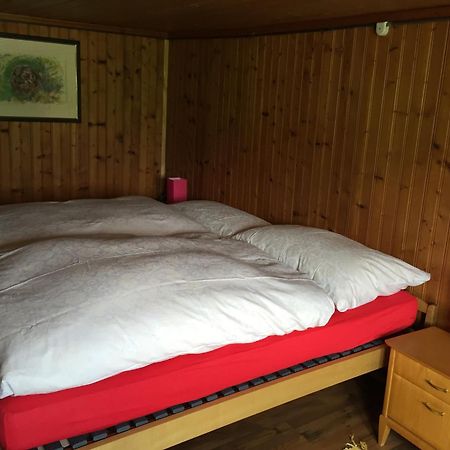 Wohlfuehloase Fuer Mensch Und Hund Bed & Breakfast Uzwil Dış mekan fotoğraf