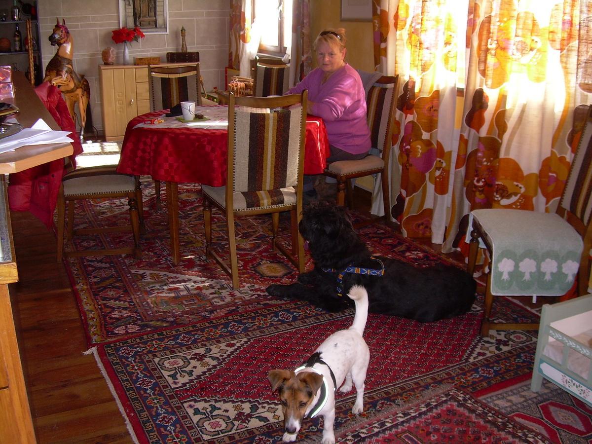 Wohlfuehloase Fuer Mensch Und Hund Bed & Breakfast Uzwil Dış mekan fotoğraf