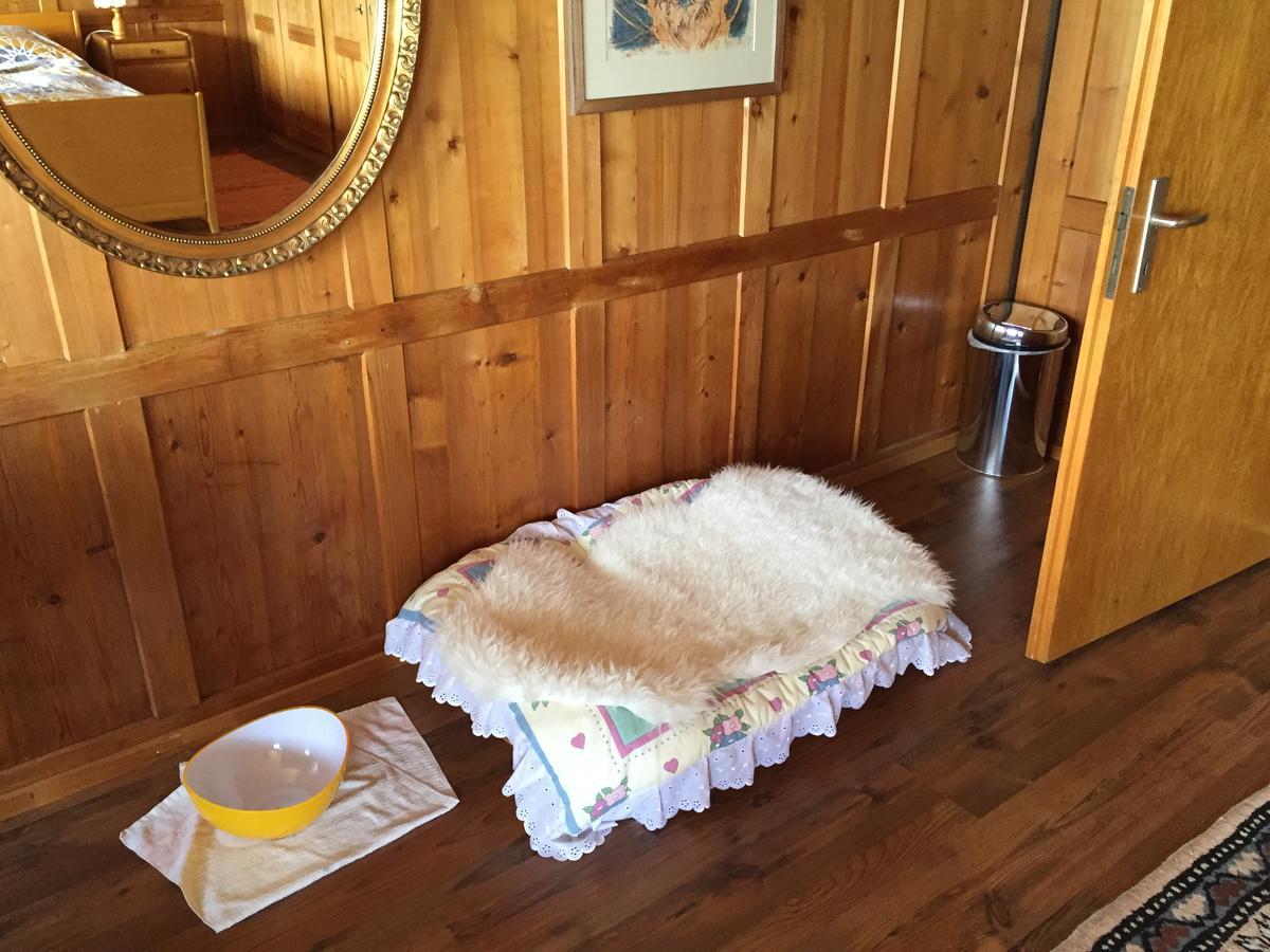 Wohlfuehloase Fuer Mensch Und Hund Bed & Breakfast Uzwil Dış mekan fotoğraf