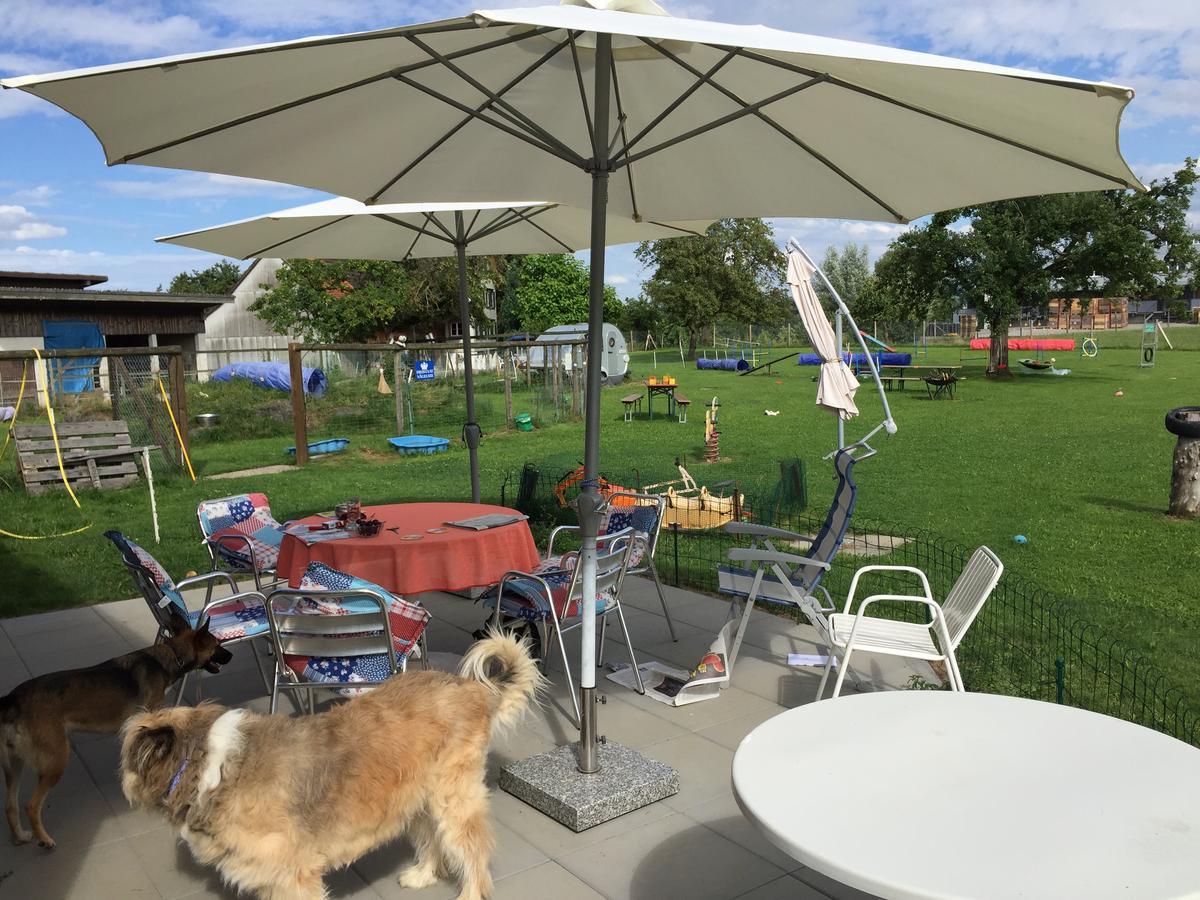 Wohlfuehloase Fuer Mensch Und Hund Bed & Breakfast Uzwil Dış mekan fotoğraf